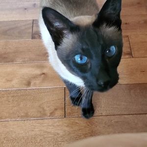 Meet your Posher, Donna